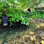 Farm Peternelj *