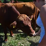 Farm Peternelj