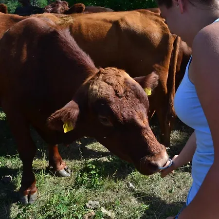 Farm Peternelj