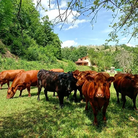 Κατάλυμα σε φάρμα Farm Peternelj *