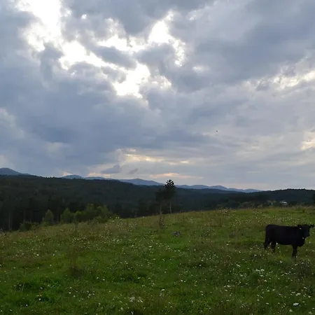 Farm Peternelj Κατάλυμα σε φάρμα *