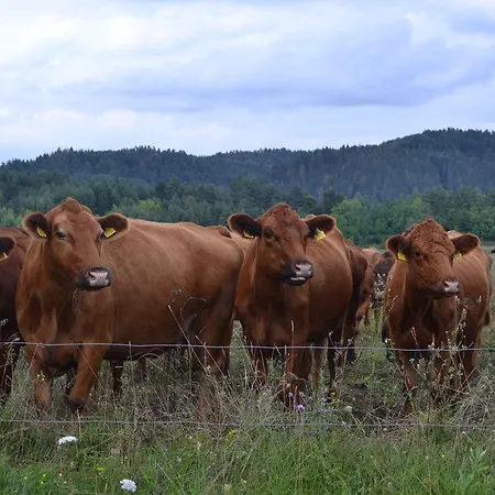 Farm Peternelj Farma Ilirska Bistrica