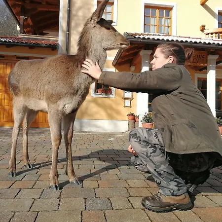 Farm Peternelj Vakantieboerderij Ilirska Bistrica