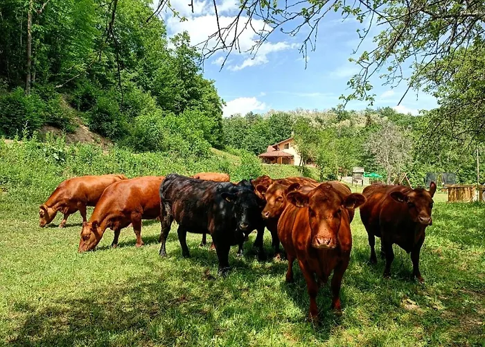 Bauernhof Farm Peternelj *
