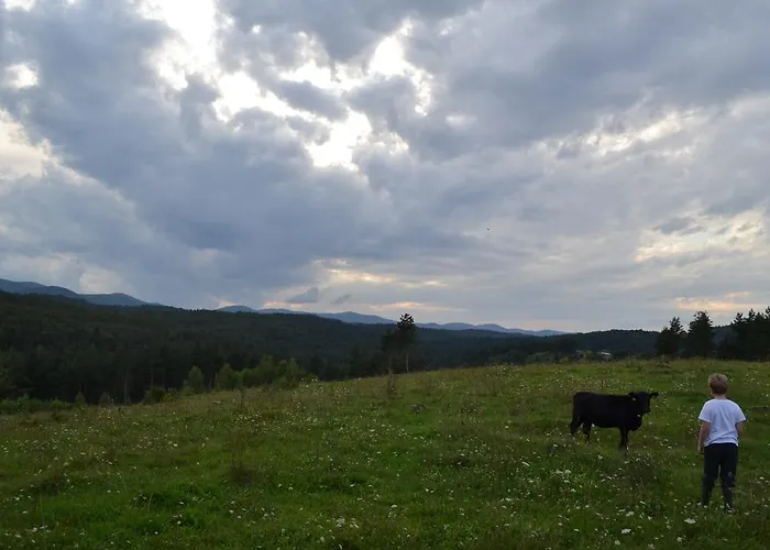 Farm Peternelj Bauernhof *
